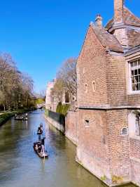 A Perfect Day Trip to Cambridge 🏛️🚣‍♂️