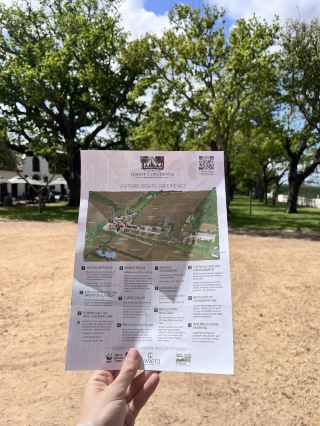 Groot Constantia Wine Route 🍷