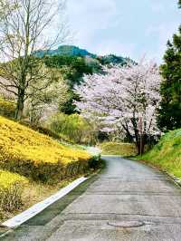 Spring Stroll at Fujikawa Craft Park