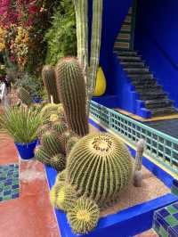 The Majorelle Garden in Marrakech is a true bliss for lovers of nature and art.