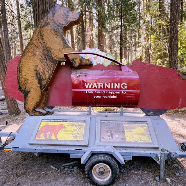 🌄 How to Get Around Yosemite National Park: Transportation Tips That Matter