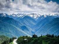 Hurricane Ridge: A hiking trail paradise in Washington!
