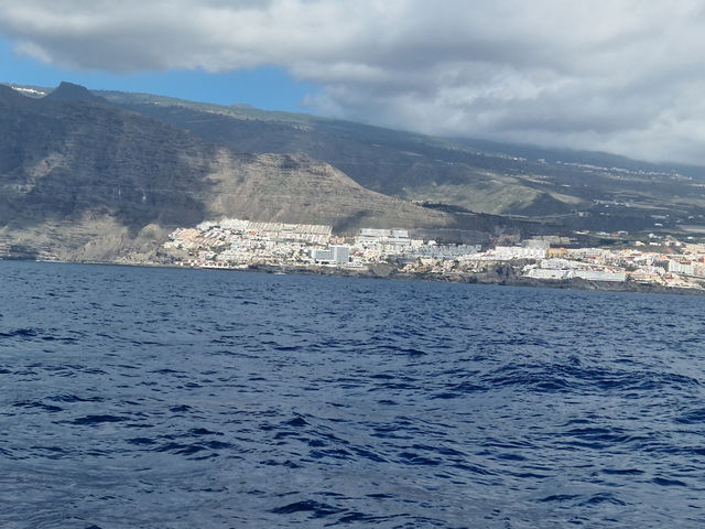 From volcano peaks to black sand beaches — Tenerife, you thrill me 🌋
