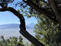 Uncovering Tenerife’s green landscape in Anaga Rural Park