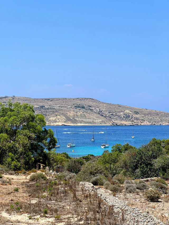 🇲🇹 馬爾他科米諾島（Comino） 🏝️