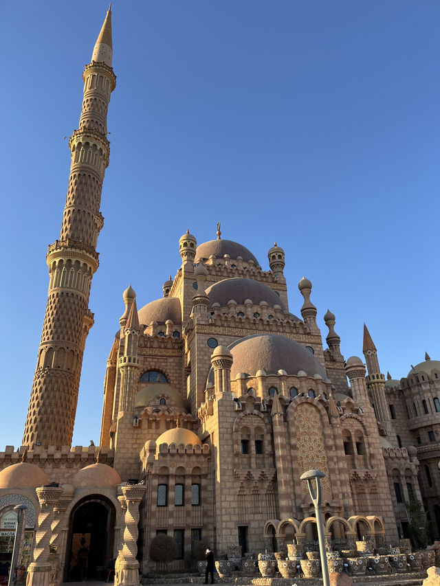 Budget Diving Escape in Sharm – All in for $100!
