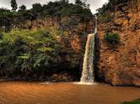 觀鳥天堂～納庫魯國家公園