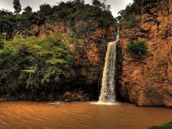 觀鳥天堂～納庫魯國家公園