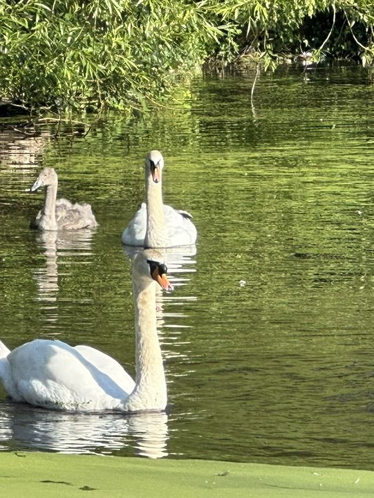 Hidden Gem in the heart of England 