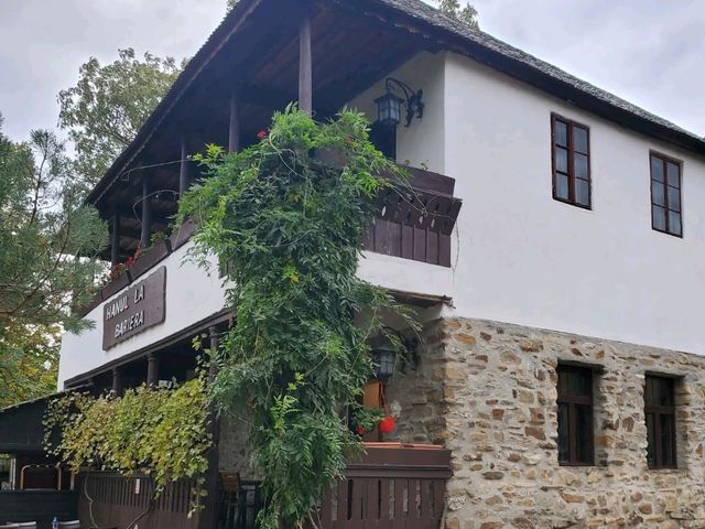 Dimitrie Gusti National Village Museum: Romania's Rural Heritage Alive