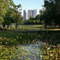 Strolling Through Ganzhou Central Park 🌳🚶♂️💫