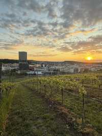 Штутгарт с высоты