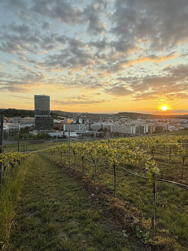 Штутгарт с высоты Штутгарт с высоты