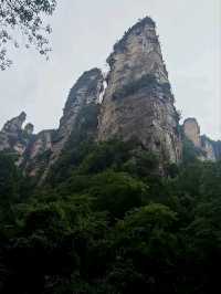 Как Увидеть парк Аватар без толп!