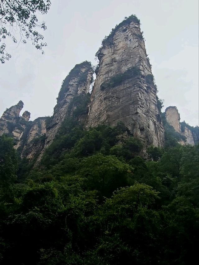 Как Увидеть парк Аватар без толп!