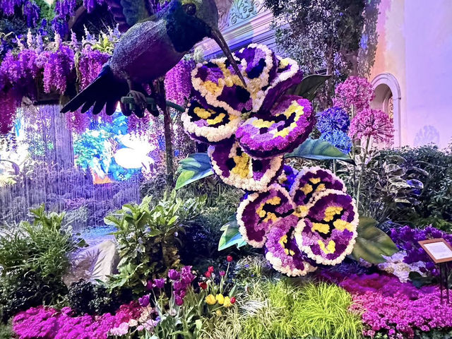 Where all ages can explore and enjoy. 🌸👨👩👧👦✨