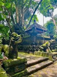 Sacred Monkey Forest - Ubud🐒🌿