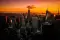 cygnaria_2538