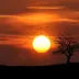 zaralon_9205