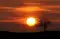zaralon_9205