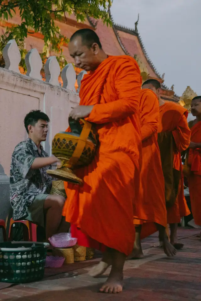 Luang Prabang morning alms giving | Feel the wonderful atmosphere with the monks