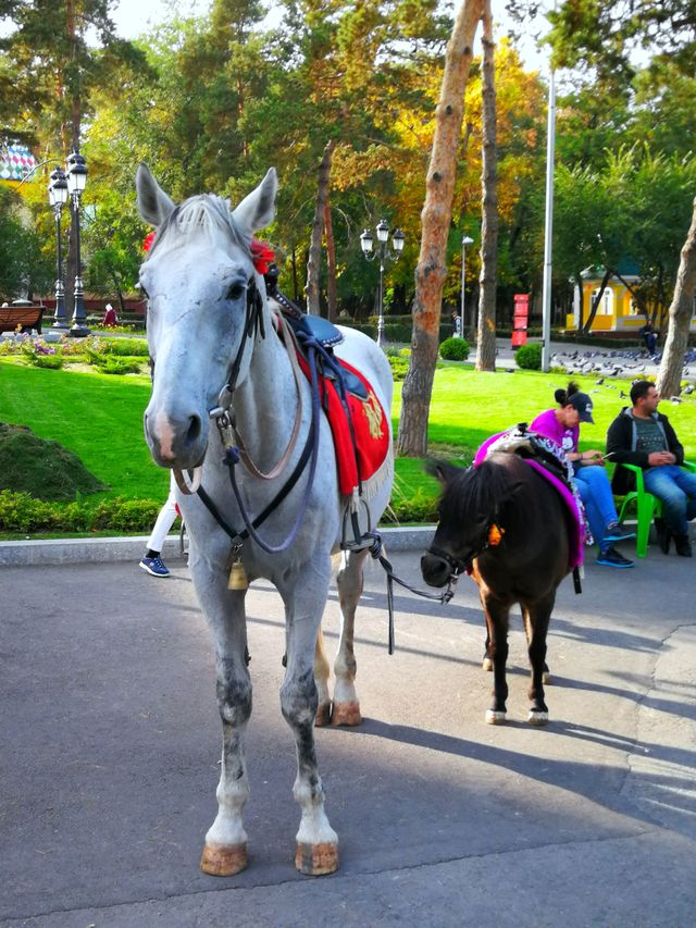 Kazakhstan Almaty Glimpses