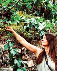Botanical Paradise in Crete: Explore the Colorful Gardens and Wildlife at the Botanical Park