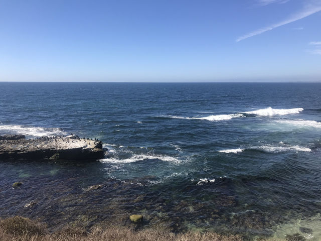 La Jolla | The most beautiful bay in San Diego