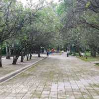 養生健身最佳氧吧~保山太保山森林公園