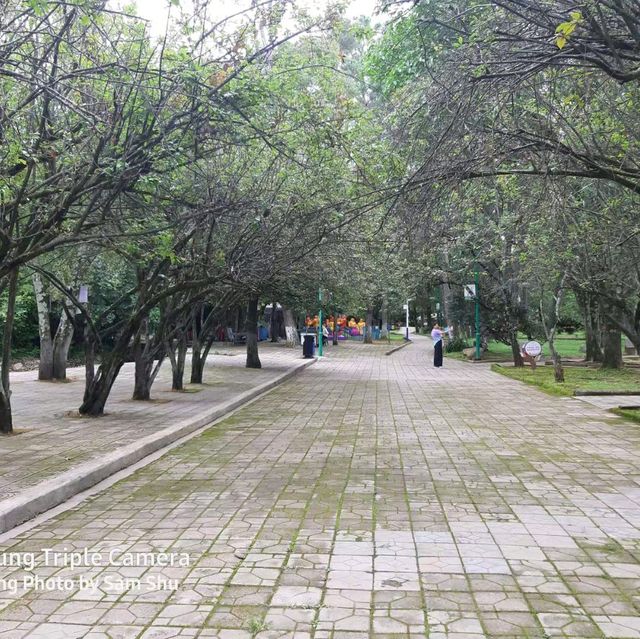 養生健身最佳氧吧~保山太保山森林公園