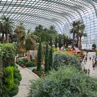 Gardens by the Bay