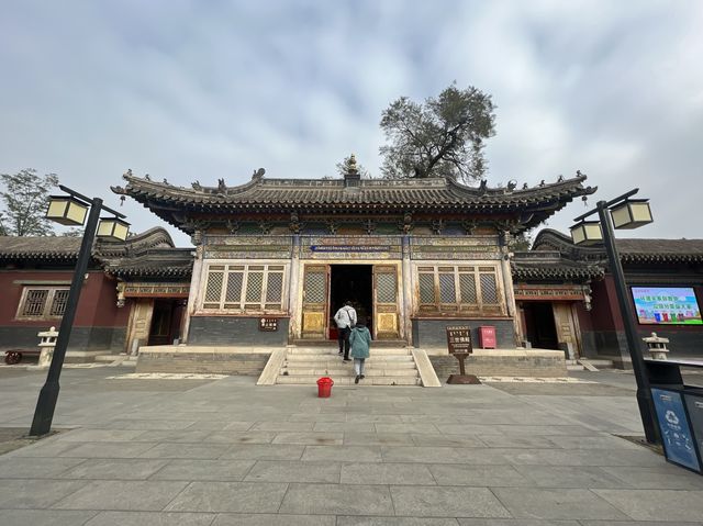 Temples and Pagodas