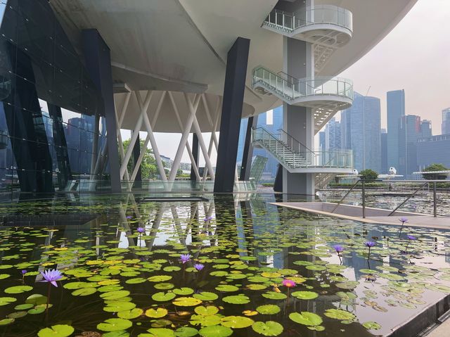 Art Meets Science 🇸🇬 