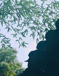 一步一景，曲水回廊流連在中式園林的雅致禪韻裡，忘返