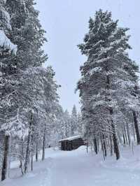 11月芬蘭旅遊攻略｜冬日仙境，追尋極光的足跡！