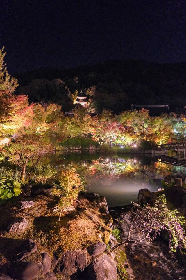 【京都·永觀堂·禪林寺·夜光版·2023】