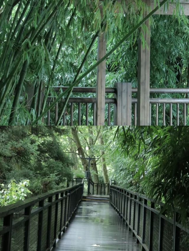 探尋阿哈湖濕地公園