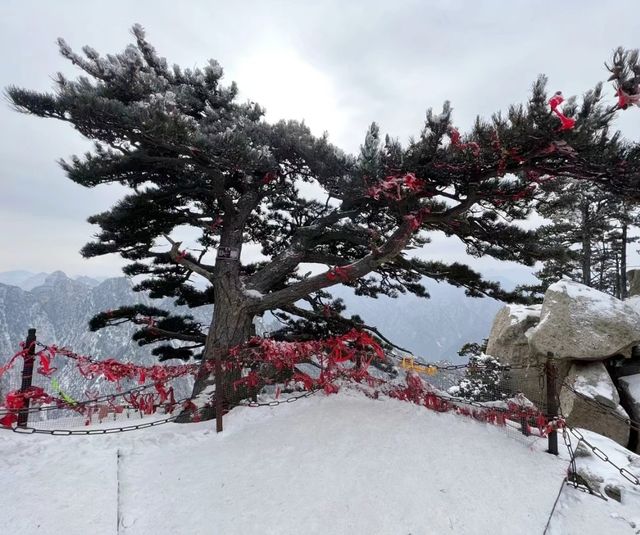 華山免門票啦，快衝啊，這潑天的富貴一定要接住