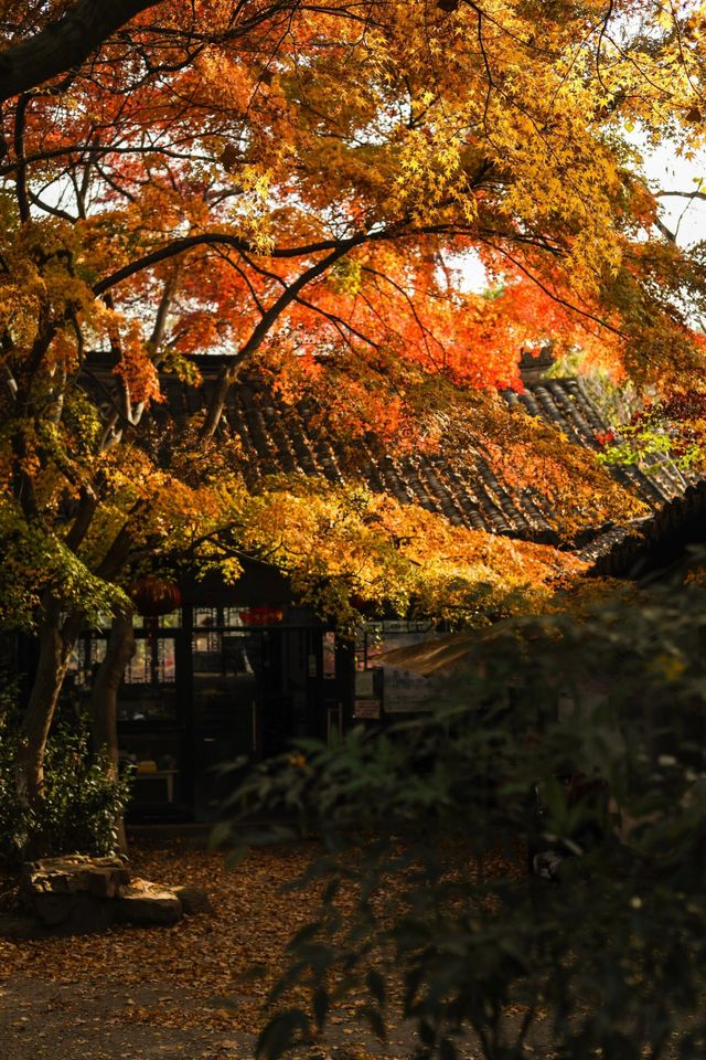 週末去哪兒一一虞山風景美如畫