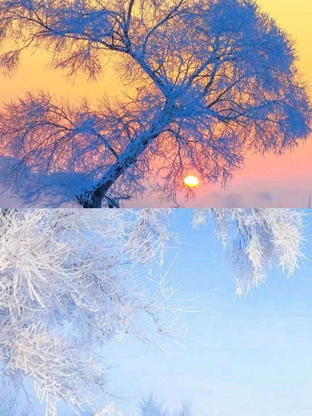 吉林霧凇 晨起觀景赴一場冰雪之約