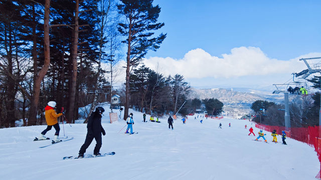 韓國江原道冬季雪景風光太震撼了，為你呈現獨屬於冬天的浪漫