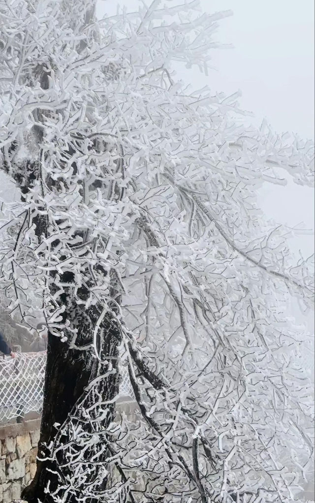 就在下週 廣州周邊看雪｜保姆級攻略