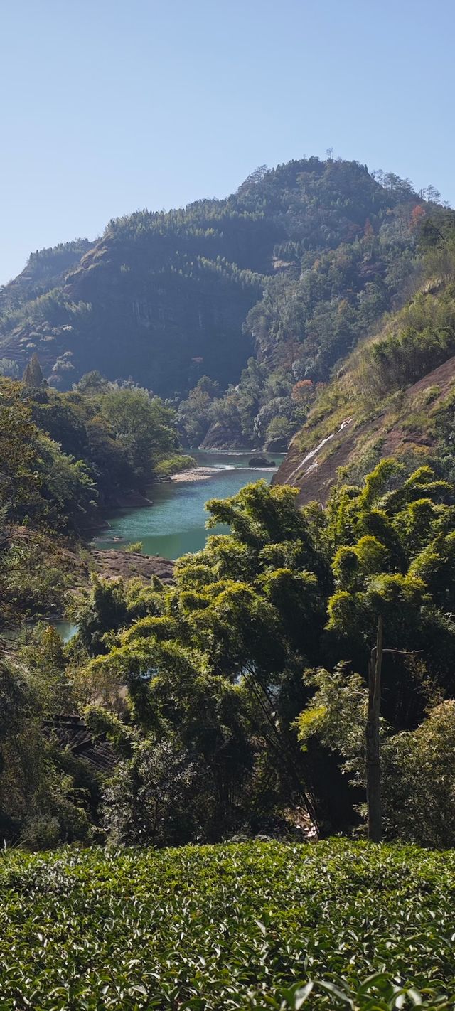 武夷山從生態、景觀、歷史文化等方面與其它同類地區和遺產地的價值比較，有以下突出特點：武夷山集山嶽、河