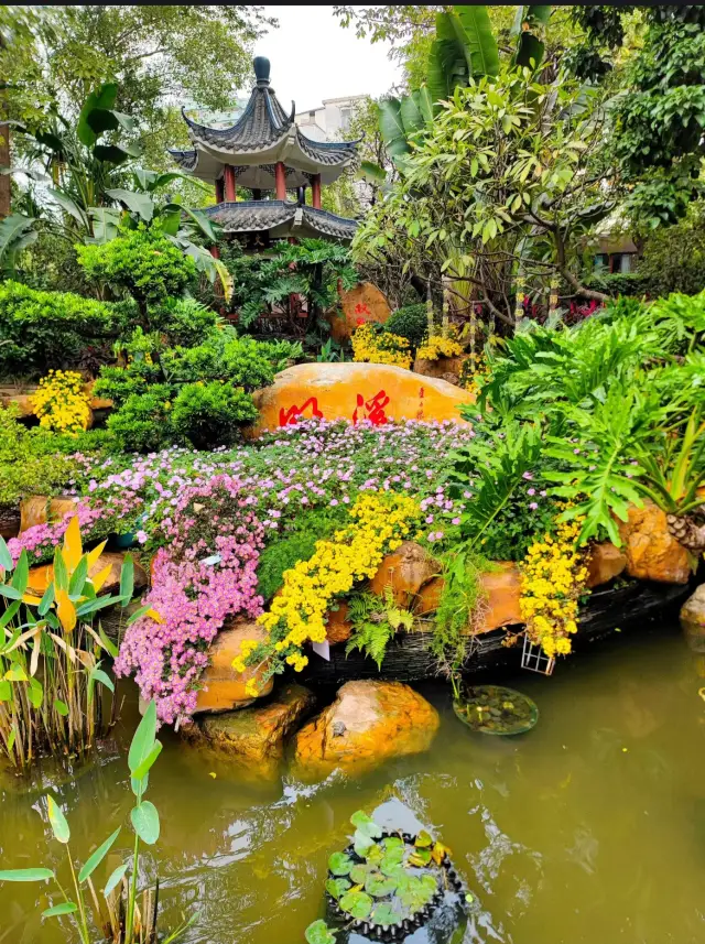 Treasure places in Guangzhou where you can hang out for a day without spending money!