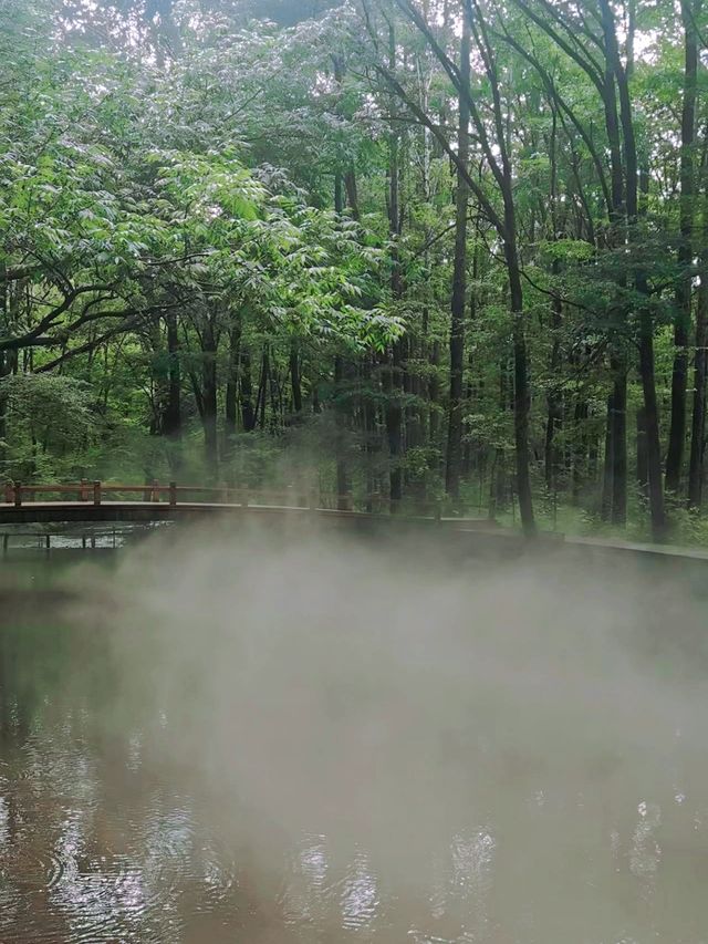 叢林秘境 ‖ 吊水壶瀑布