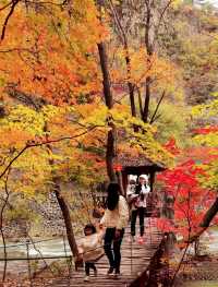 遼寧本溪關門山丨金秋十月，賞楓葉的時候到了