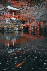 醍醐寺遠離京都市中心，因此就算是紅葉最為見顷的時候，遊客也沒有京都市裡那麼多，可謂是賞楓的絕好去處！