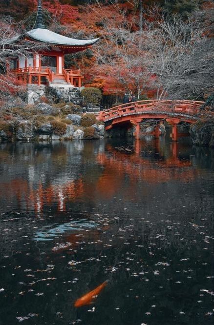 醍醐寺遠離京都市中心，因此就算是紅葉最為見顷的時候，遊客也沒有京都市裡那麼多，可謂是賞楓的絕好去處！