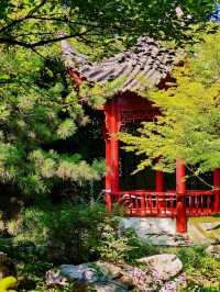 鄭州·夢溪園隱匿在鬧市裡的絕美小園林
