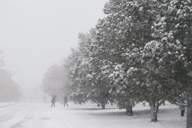 秦始皇陵大雪記